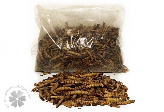 Cuisiner des vers - Manger des insectes : l'entomophagie en cuisine