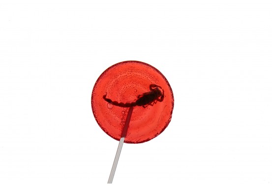 Strawberry Scorpion Lollipop