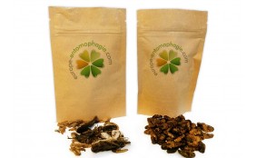 Coffret Gourmand XL aux insectes comestibles - Entomoshop